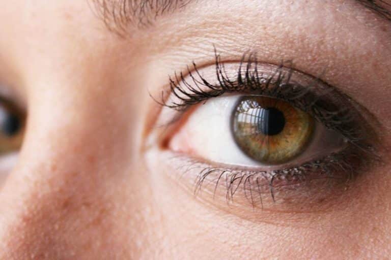 Yeux hazel : Définition, rareté et couleurs