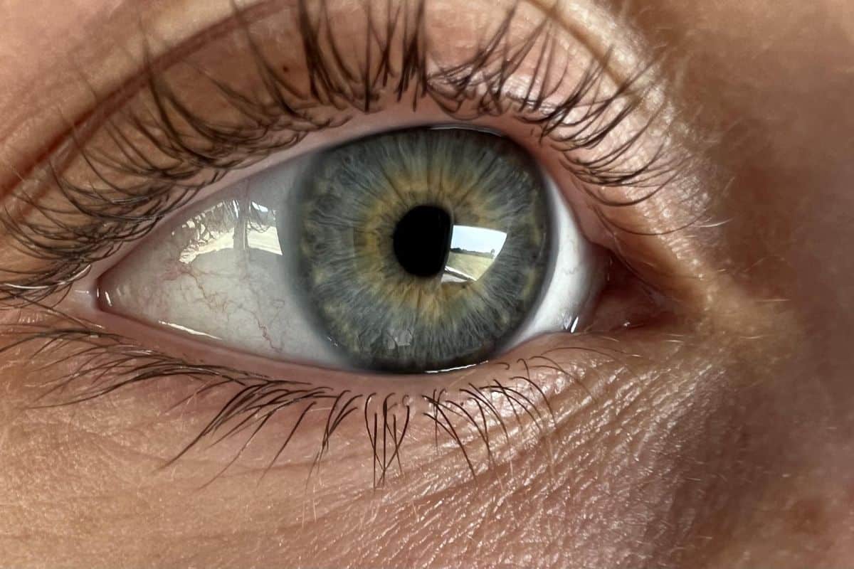 Yeux hazel : Définition, rareté et couleurs