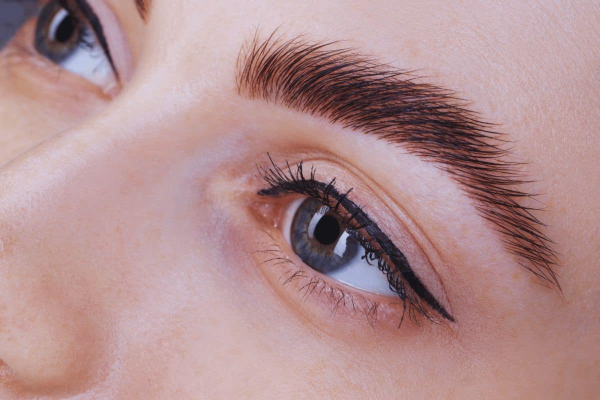 Gros plan sourcil parfaitement dessiné